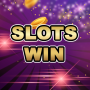 icon Lucky LifeBig Win Slots