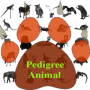 icon Pedigree of the Animal for Samsung S5830 Galaxy Ace