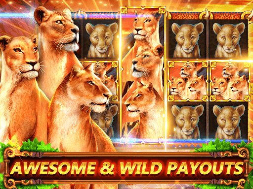 Great Cat Slots Online Casino