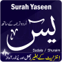 icon Surah Yasin