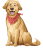 icon Dog & Puppy Training 10.0