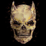 icon Skull Wallpapers for Samsung Galaxy Grand Duos(GT-I9082)