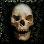icon com.wizzhard.skulls