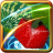 icon Fruit Swipe 1.20