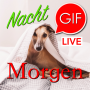 icon GIF Morgen & Nacht