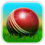 icon Cricket 3D