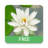 icon 3D Lotus Free 2.2