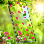 icon Nature Live Wallpaper for Samsung Galaxy Grand Duos(GT-I9082)