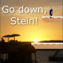 icon Go down, Stein!