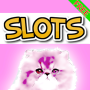 icon ? Tabby Tycoon Slot ?