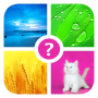 icon Words & Pics ~ 4 pics 1 word for Sony Xperia XZ1 Compact