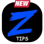 icon Zolaxis guide