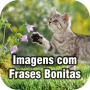 icon Imagens com Frases Bonitas