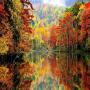 icon Autumn landscapes