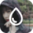 icon Blur Photo 2604.2023