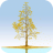 icon Ginkgo Tree 1.4.0