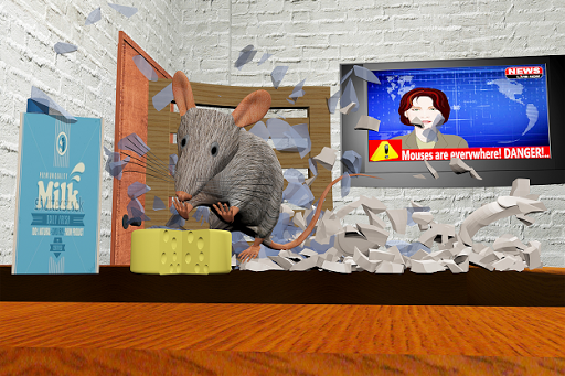 Crazy Mouse 3d