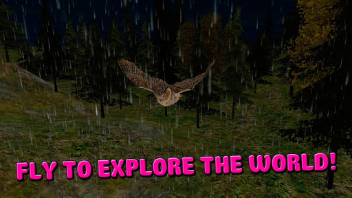 Owl Bird Survival Simulator 3D