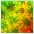 icon Weed Reggae Themee 102.01