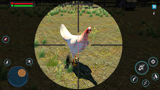 Chicken Shoot