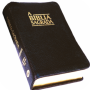 icon Versículos de la Biblia diario for LG K10 LTE(K420ds)