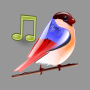 icon Birds Sounds Relax and Sleep for Samsung S5830 Galaxy Ace