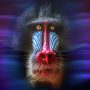 icon Monkey Live Wallpaper
