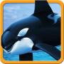 icon Hungry Killer Whale Frenzy