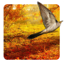 icon Autumn Live Wallpaper ?? for Sony Xperia XZ1 Compact