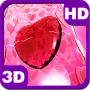 icon Ruby Heart Miracle Portal 3D