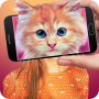 icon Scanner What cat Prank for Doopro P2