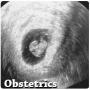 icon Obstetrics