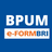 icon e-Form BRIBPUM 1.0