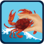 icon Crab Fishing