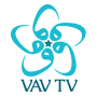 icon Vav Tv