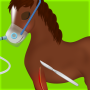 icon Horse Surgery