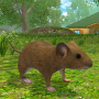 icon Mouse Simulator : Forest Home for Samsung Galaxy Grand Duos(GT-I9082)