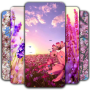 icon Spring Wallpaper