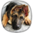 icon German Shepherd Wallpapers 4.1.5