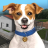 icon Animal Shelter Simulator 1.368