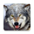 icon Wolf Wallpapers 4.0.wolf