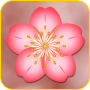 icon Cherry Blossom Live Wallpaper for tecno F1