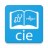icon CIE 5.3-google