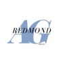 icon Redmond AG