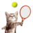 icon Cat Meow Tennis 1.0.6