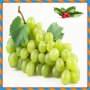 icon Green Fruits Onet Connect Game for Samsung Galaxy Note 10 1