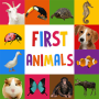 icon First Animals for Baby