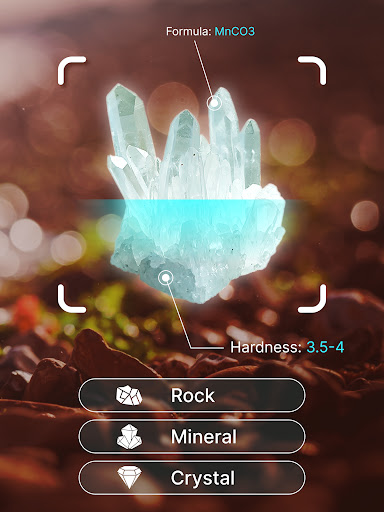 Rock Identifier: Crystals ID