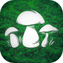 icon The Mushroom Hunter