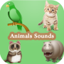 icon Animal Sounds for Babies for iball Slide Cuboid